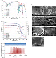 Graphical abstract: Fabrication of zein–tamarind seed polysaccharide–curcumin nanocomplexes: their characterization and impact on alleviating colitis and gut microbiota dysbiosis in mice