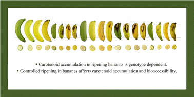 Graphical abstract: Genotype and ripening method affect carotenoid content and bio-accessibility in banana
