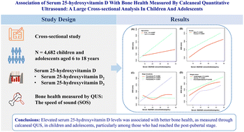Graphical abstract: Association of serum 25-hydroxyvitamin D with bone health measured by calcaneal quantitative ultrasound: a large cross-sectional analysis in children and adolescents
