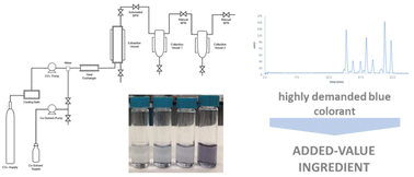 Graphical abstract: Compressed fluid-based technology for downstream isolation of bluish anthocyanin-derived pigments obtained from blueberry surplus