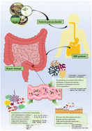Graphical abstract: Research progress in the treatment of inflammatory bowel disease with natural polysaccharides and related structure–activity relationships