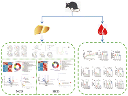Graphical abstract: Effects of short-term carbohydrate deprivation on glycolipid metabolism and hepatic lipid accumulation in mice