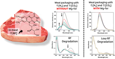 Graphical abstract: Antioxidant activity of an Mg(ii) compound containing ferulic acid as a chelator: potential application for active packaging and riboflavin stabilisation