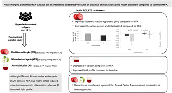 Graphical abstract: A red-fleshed apple rich in anthocyanins improves endothelial function, reduces inflammation, and modulates the immune system in hypercholesterolemic subjects: the AppleCOR study
