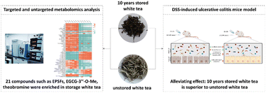 Graphical abstract: Stored white tea ameliorates DSS-induced ulcerative colitis in mice by modulating the composition of the gut microbiota and intestinal metabolites