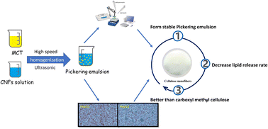Graphical abstract: Pickering emulsion emulsified using novel cellulose nanofibers significantly lowers the lipid release rate and cellular absorption