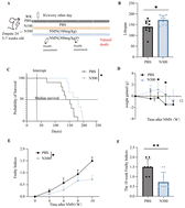 Graphical abstract: β-Nicotinamide mononucleotide supplementation prolongs the lifespan of prematurely aged mice and protects colon function in ageing mice