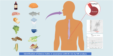 Graphical abstract: Causal relationships between dietary habits and Barrett's esophagus risk: a univariable and multivariable Mendelian randomization study