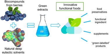 Graphical abstract: Potential application of green extracts rich in phenolics for innovative functional foods: natural deep eutectic solvents as media for isolation of biocompounds from berries