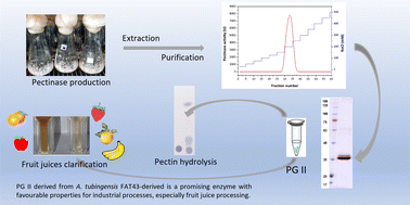 Graphical abstract: Improvement of fruit juice quality: novel endo-polygalacturonase II from Aspergillus tubingensis FAT 43 for enhanced liquefaction, clarification, and antioxidant potential
