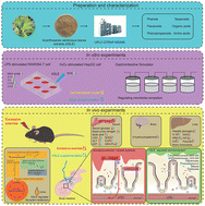 Graphical abstract: Metabolome and microbiome analyses of the anti-fatigue mechanism of Acanthopanax senticosus leaves