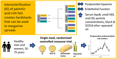 Graphical abstract: Postprandial lipid and vascular responses following consumption of a commercially-relevant interesterified palmitic acid-rich spread in comparison to functionally-equivalent non-interesterified spread and spreadable butter: a randomised controlled trial in healthy adults
