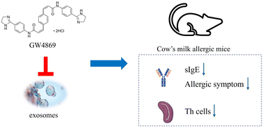Graphical abstract: Blockade of exosome release alleviates the hypersensitive reaction by influencing the T helper cell population in cow's milk allergic mice