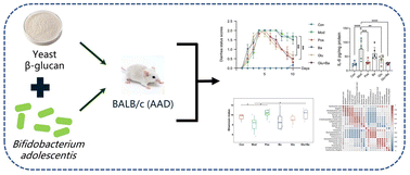 Graphical abstract: Bifidobacterium adolescentis CCFM1285 combined with yeast β-glucan alleviates the gut microbiota and metabolic disturbances in mice with antibiotic-associated diarrhea