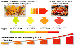 Graphical abstract: Protective effect of provitamin A dietary carotenoid intake on overweight/obesity and their relation to inflammatory and oxidative stress biomarkers – a case-control study