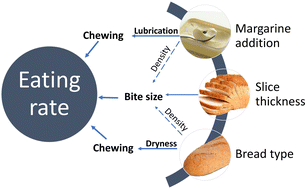 Graphical abstract: Spread it on thick? Relative effects of condiment addition and slice thickness on eating rate of bread