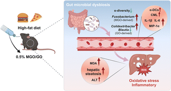 Graphical abstract: Dietary dicarbonyl compounds exacerbated immune dysfunction and hepatic oxidative stress under high-fat diets in vivo