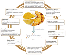 Graphical abstract: The role of tetrahydrocurcumin in disease prevention and treatment
