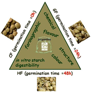 Graphical abstract: Effects of germination time on the structure, functionality, flavour attributes, and in vitro digestibility of green Altamura lentils (Lens culinaris Medik.) flour