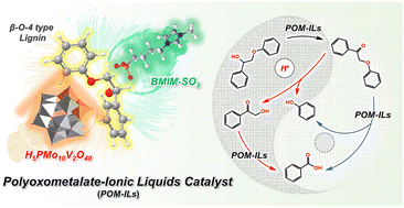 Graphical abstract: A recoverable polyoxometalate-ionic liquid catalyst for selective cleavage of lignin β-O-4 models under mild conditions