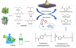 Graphical abstract: Progress in the biosynthesis of bio-based PET and PEF polyester monomers