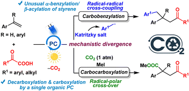 Graphical abstract: Visible-light-mediated β-acylative divergent alkene difunctionalization with Katritzky salt/CO2