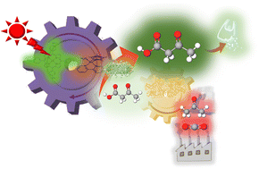 Graphical abstract: Visible-light-driven 3-hydroxybutyrate production from acetone and low concentrations of CO2 with a system of hybridized photocatalytic NADH regeneration and multi-biocatalysts