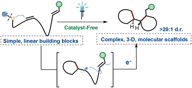 Graphical abstract: Catalyst-free intramolecular radical cyclization cascades initiated by the direct homolysis of Csp3–Br under visible light