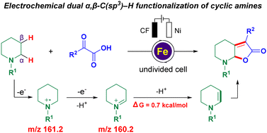 Graphical abstract: Electrochemical dual α,β-C(sp3)–H functionalization of cyclic N-aryl amines