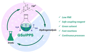 Graphical abstract: Speeding up sustainable solution-phase peptide synthesis using T3P® as a green coupling reagent: methods and challenges