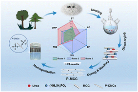 Graphical abstract: Pre-phosphorylation for facile production of phosphorylated cellulose nanocrystals with high charge content: an optimised design and life cycle assessment