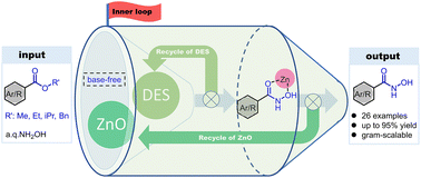 Graphical abstract: A base-free hydroxylaminolysis protocol promoted by ZnO in deep eutectic solvents