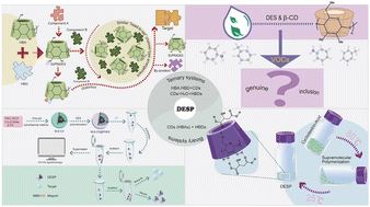 Graphical abstract: Green materials with promising applications: cyclodextrin-based deep eutectic supramolecular polymers