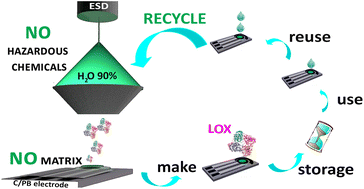 Graphical abstract: Improved reuse and storage performances at room temperature of a new environmentally friendly lactate oxidase biosensor prepared by ambient electrospray immobilization