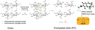 Graphical abstract: Efficient conversion of chitin into 5-hydroxymethylfurfural via a simple formylation step under mild conditions