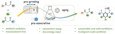 Graphical abstract: α-C–H functionalization of glycine derivatives under mechanochemical accelerated aging en route the synthesis of 1,4-dihydropyridines and α-substituted glycine esters