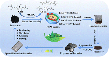 Graphical abstract: A green strategy for recycling cathode materials from spent lithium-ion batteries using glutathione