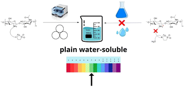 Graphical abstract: Green mechanochemical synthesis of water-soluble N-sulfonated chitosan