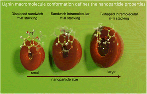 Graphical abstract: Molecular understanding of the morphology and properties of lignin nanoparticles: unravelling the potential for tailored applications
