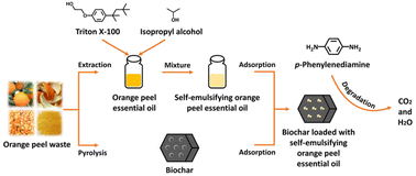 Graphical abstract: Reactive oxygen species induced by plant essential oil for effective degradation of p-phenylenediamine