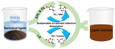 Graphical abstract: Sustainable polar aprotic/poly-deep eutectic solvent systems for highly efficient dissolution of lignin