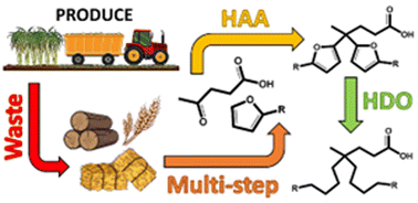 Graphical abstract: Production of neo acids from biomass-derived monomers