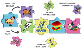Graphical abstract: Sustainable keratin recovery process using a bio-based ionic liquid aqueous solution and its techno-economic assessment