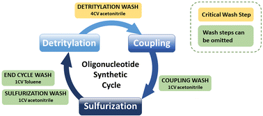 Graphical abstract: Omission of column washing operations in the solid phase synthesis of oligonucleotides