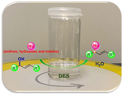 Graphical abstract: Alkylation of amines with allylic alcohols and deep eutectic solvents as metal-free and green promoters