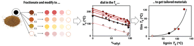 Graphical abstract: Expanding lignin thermal property space by fractionation and covalent modification