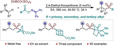 Graphical abstract: Metal-free photosensitized aminosulfonylation of alkenes: a practical approach to β-amido sulfones