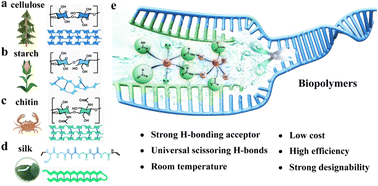 Graphical abstract: A room temperature dissolution solvent and its mechanism for natural biopolymers: hydrogen bonding interaction investigation