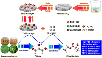 Graphical abstract: Temperature-responsive Zn-based catalysts for efficient catalytic conversion of biomass-derived carbohydrates to ethyl lactate