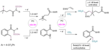 Graphical abstract: Photocarboxylation of remote C–H bonds through nitrogen-centred radical 1,5-hydrogen atom transfer